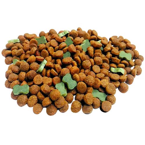 如何挑选高品质的干狗食 宠物食品供应商的终极指南
