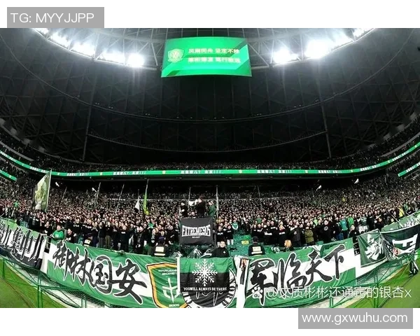 2025赛季中国足球职业联赛全面升级球迷热情空前高涨引发广泛关注